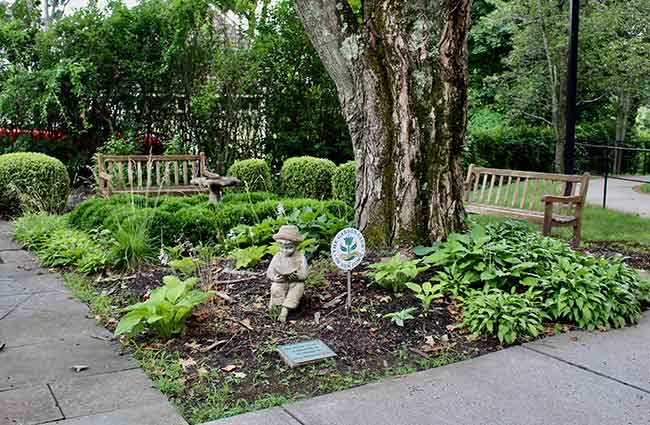 Library Knot Garden