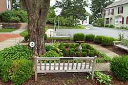 Library Knot Garden