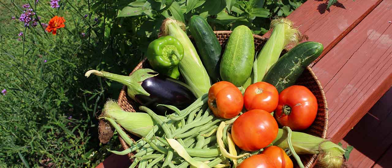 Victory Garden-Veg Bowl