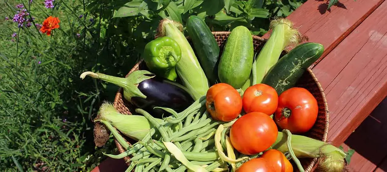 1 VG Produce-existing-w Produce