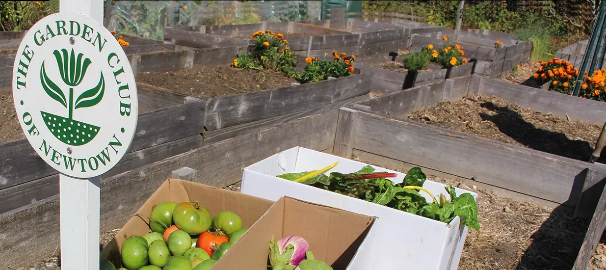 2 Oct 7 VG End of Season 1-w2 End of Season