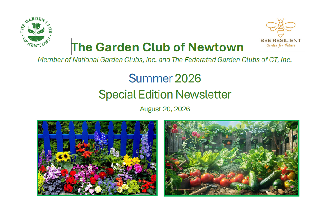 Summer 2026
Special Edition Newsletter